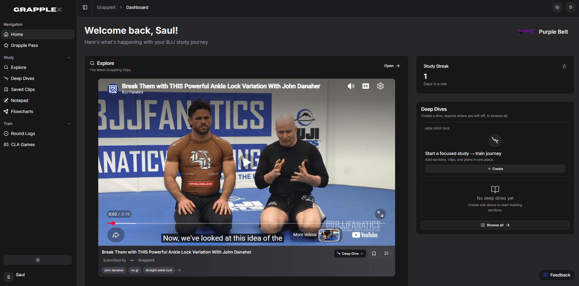 The GrappleX app dashboard, showing technique tracking and training stats